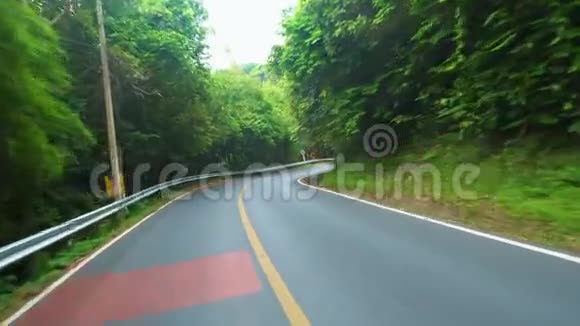 在温暖的热带国家在柏油路上驾驶棕榈树视频的预览图