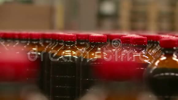 在啤酒厂生产kvass柠檬水和啤酒饮料的传送带视频的预览图