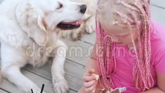 对宠物的爱非洲辫子的漂亮时尚女孩和她的狗在街上吃饭视频的预览图