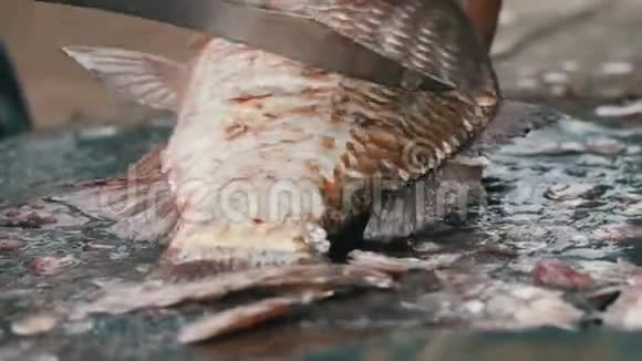 一个雄性渔夫清理他刚钓到的一条活泼的大鱼的鳞片清洗淡水鱼视频的预览图