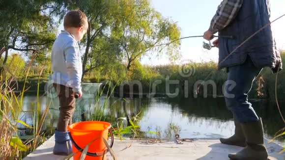 暑假祖父带着孙子在湖边的树林和芦苇中钓到大鱼视频的预览图