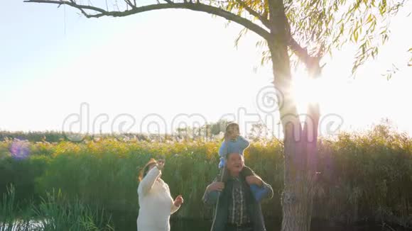 孩子坐在祖父的肩上把绳子扔在树上在长满芦苇的湖泊附近摇摆视频的预览图