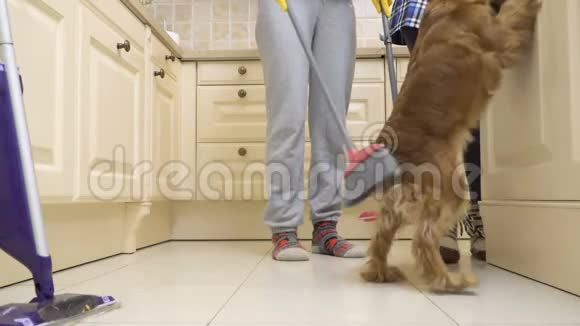 狗阻止家庭主妇打扫厨房的地板视频的预览图
