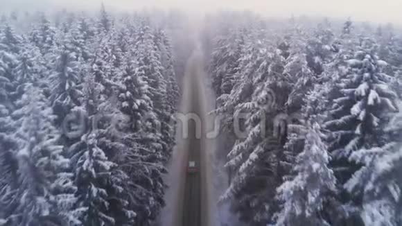在雪林的冬季乡村道路上驾驶汽车鸟瞰视频的预览图