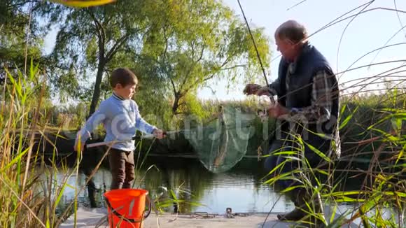 节日快乐老渔夫和孙子们在好天气下在湖中捉到了鲫鱼视频的预览图