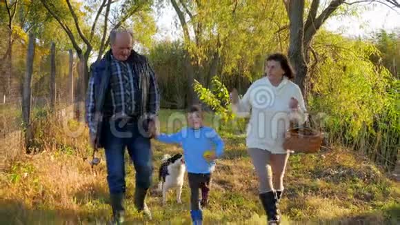 在阳光明媚的秋日下午可爱的孩子带着爷爷和奶奶手里拿着篮子在大自然中散步视频的预览图