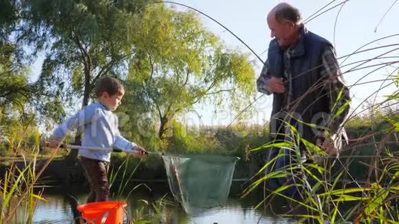 渔夫的生活男孩和老人在春天阳光明媚的日子在湖里钓到了大鲤鱼视频的预览图