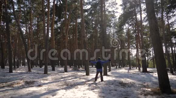 人是松林中带背包的游客冬天徒步旅行的年轻旅行者冬季体育活动视频的预览图