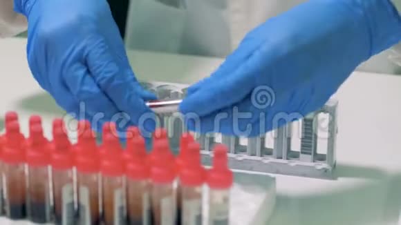 实验室工作人员正在检查带有血液的试管并将它们放入调色板视频的预览图