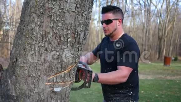 一位英俊的树木服务公司雇佣工人用电锯在树上雕刻视频的预览图
