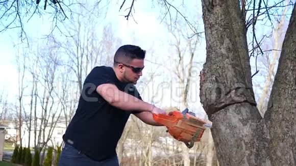 一名工人危险地在当地公园用电锯砍树视频的预览图