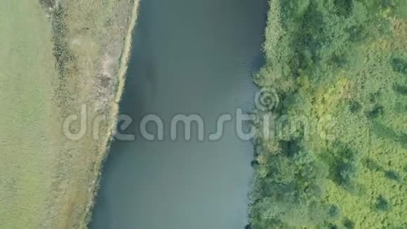 空中无人机垂直观绿色草地与河流的美丽自然风光视频的预览图