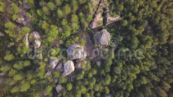 矗立在森林中的石头和美丽的景色俯视剪辑在高大的松树之间的岩石以视频的预览图