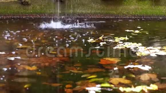 卡尔斯鲁厄市美丽浪漫喷泉视频的预览图