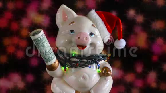 圣诞节背景带一美元和帽子的猪背景中闪烁的灯光视频的预览图