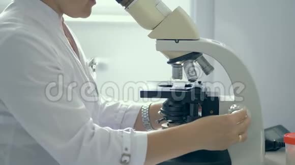 女实验室工作人员正在调节显微镜同时观察它视频的预览图