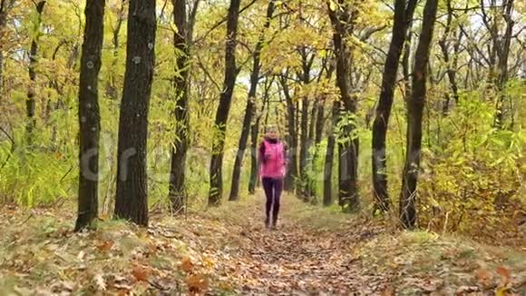 慢速跑步女子跑步者在秋天的森林小径上慢跑适合女性运动健身模式运动员跑步训练R视频的预览图