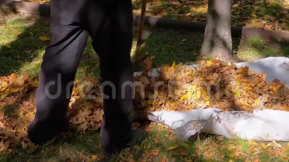 工人用耙子在秋天的公园里收集黄色落叶慢动作视频的预览图