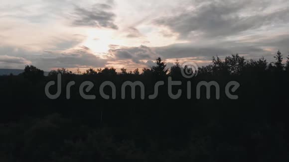 森林里美丽的日落超高清4K视频的预览图