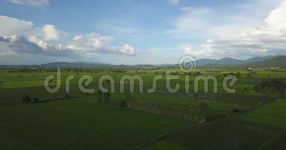 美丽的雨天和绿色的稻田视频的预览图
