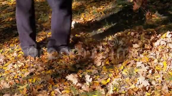 工人用耙子在秋天的公园里收集黄色落叶慢动作视频的预览图