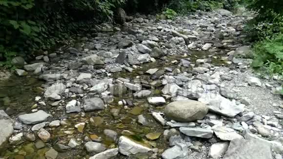 岩石和植物之间清澈的小溪视频的预览图