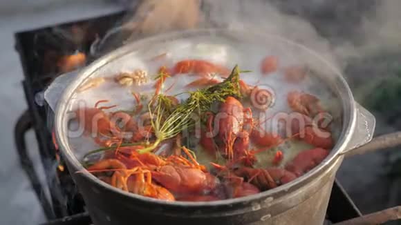 小龙虾在水中用香料和草药烹饪热煮小龙虾龙虾特写上景视频的预览图