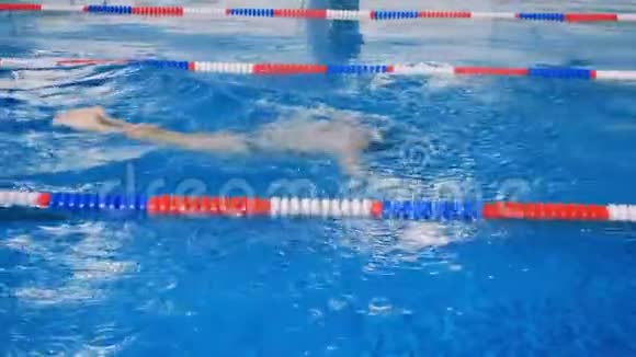 职业运动员游泳到游泳池的另一边视频的预览图