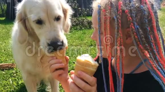 宠物的幸福生活有趣的视频美丽的金色猎犬和女孩在花园里吃冰淇淋慢动作视频的预览图