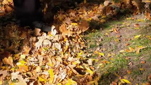 工人们用耙子收集秋天公园里的黄色落叶慢动作视频的预览图