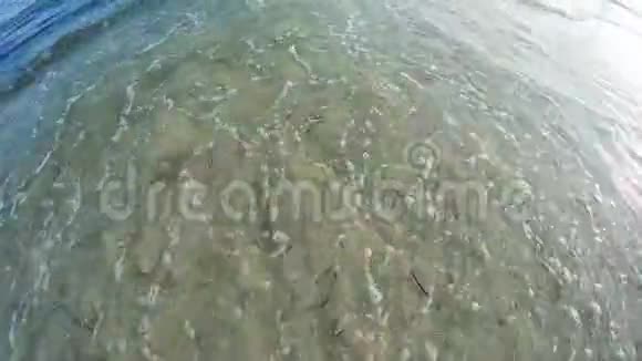沙滩上的海浪顶景视频的预览图