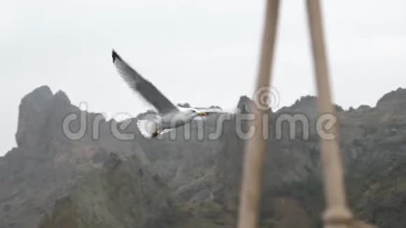 海岸悬崖和帆船绳索背景上的海鸥视频的预览图