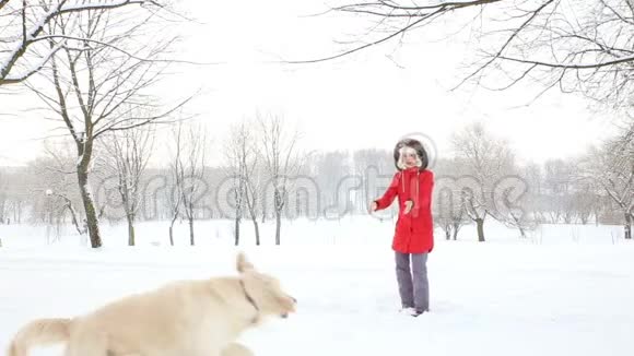 对宠物的爱一个快乐的女人在冬天白雪覆盖的公园里跳舞和她的狗玩得很开心视频的预览图