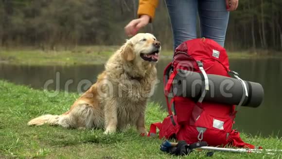 那个带着红色背包的女人是一只狗美丽湖泊的海岸视频的预览图