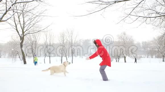 对宠物的爱一个快乐的女人在冬天白雪覆盖的公园里跳舞和她的狗玩得很开心视频的预览图