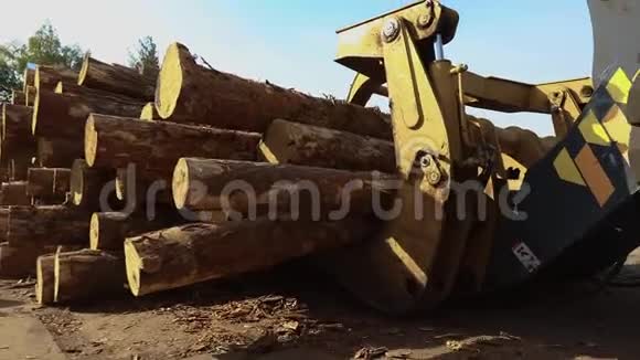 黄色推土机运送原木带原木的斗牛士视频的预览图
