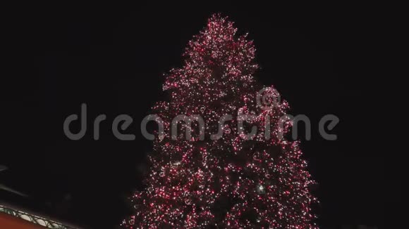 五彩缤纷的圣诞树视频的预览图