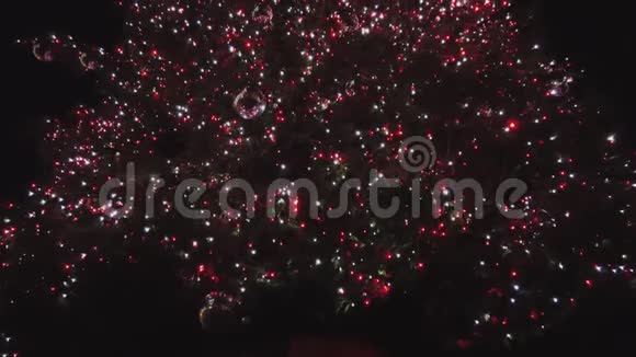 五彩缤纷的圣诞树视频的预览图