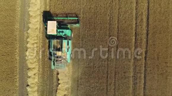 空中无人机镜头俯视联合收割机收割小麦收割粮田美丽的自然空中视频的预览图