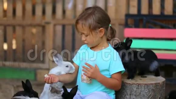 可爱的女孩用手喂兔子视频的预览图