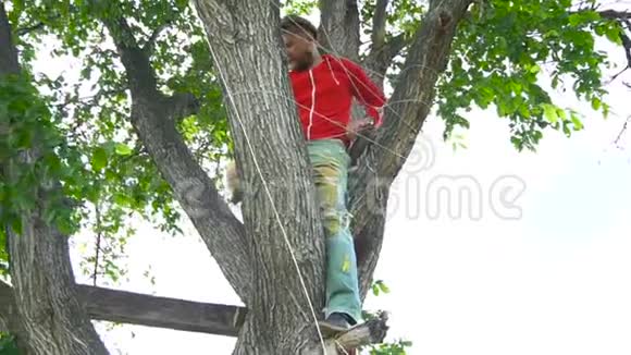 穿红衣服的酷男人坐在树上视频的预览图
