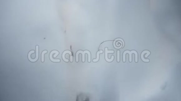 冬天的森林很多雪POV第一个人的视频雄性手从树上摘下冰冻的红色浆果视频的预览图