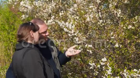 年轻的女人和男人靠近开花的树视频的预览图