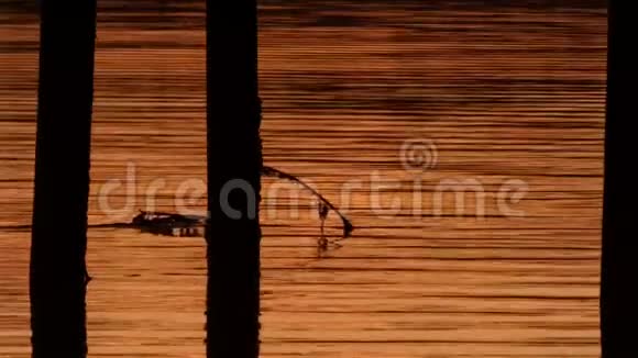 日落时分在水面上方的长墩视频的预览图