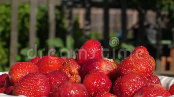 成熟草莓在盘子上的夏季花园背景特写红色草莓视频的预览图