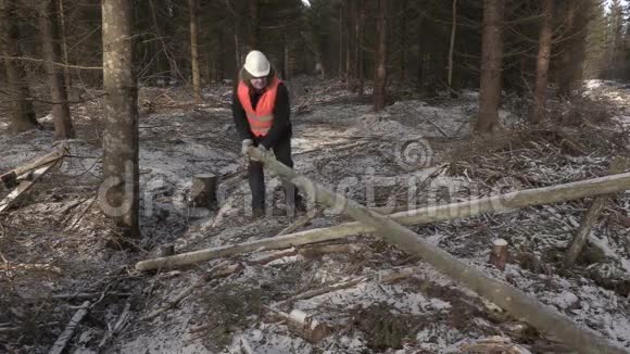 伐木工人举起原木视频的预览图