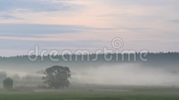 雾很快在草地上移动视频的预览图