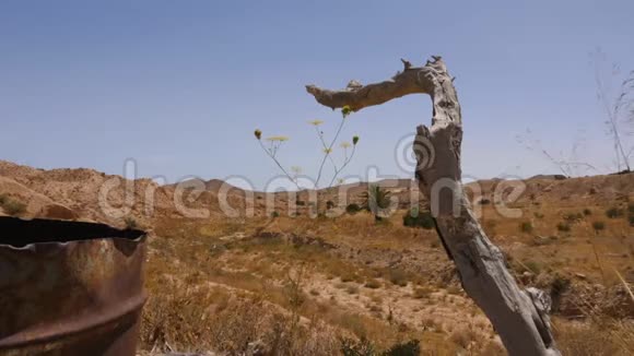 撒哈拉沙漠中的木渣和生锈的锡桶有干草和蓝天视频的预览图