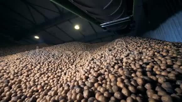仓库里的一大堆土豆关门了视频的预览图