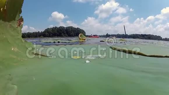 人们在湖上用百合垫皮划艇视频的预览图